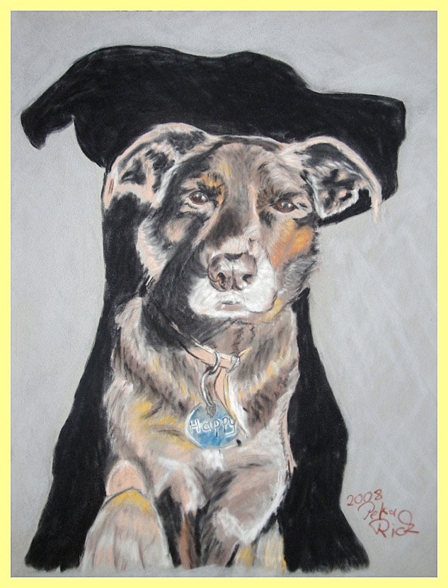 Happy - Hundeportrait von Petra Rick 2008 - Pastell